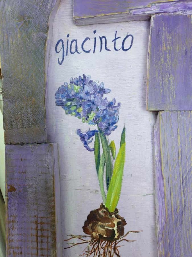 B&B La Primavera Pergola Exterior foto